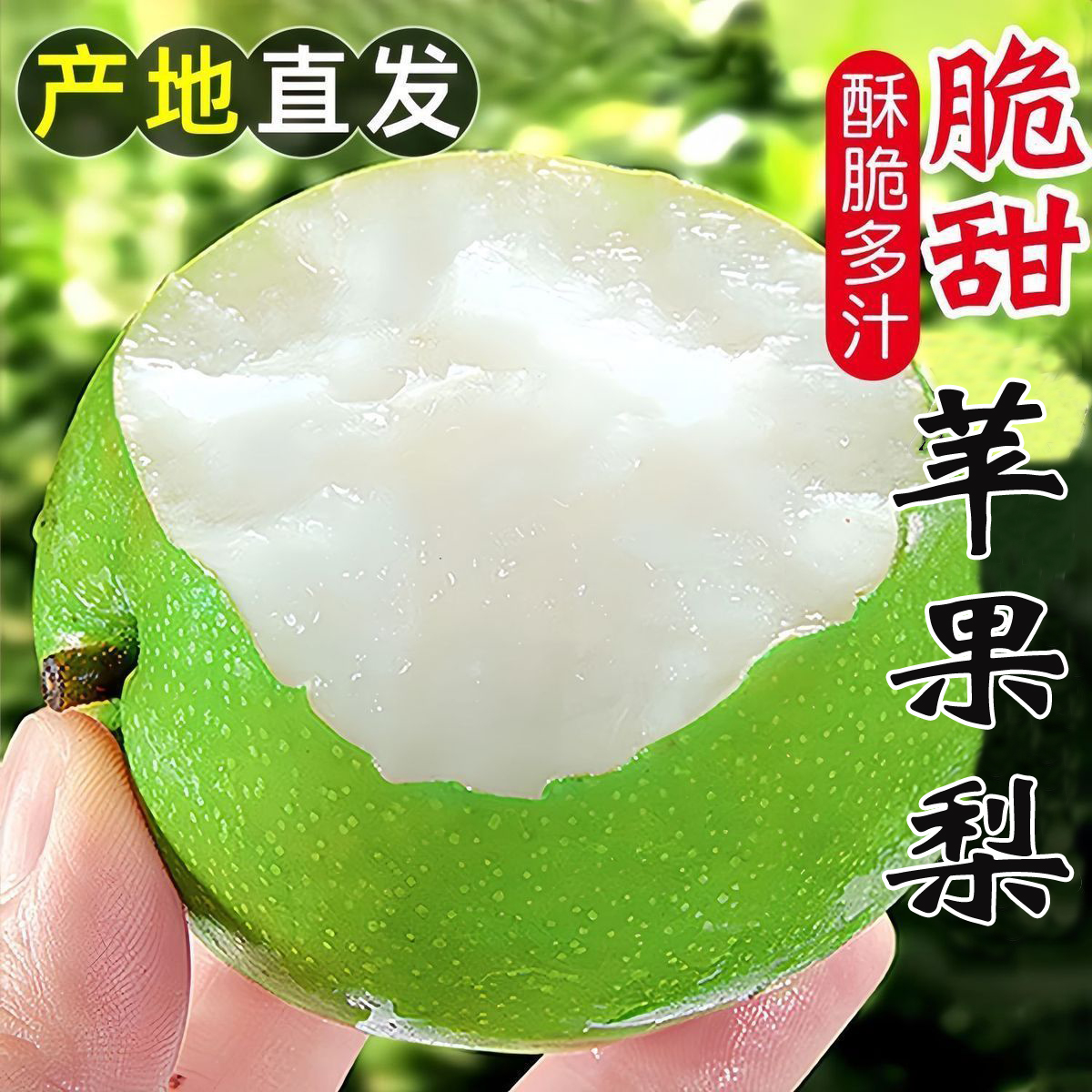 脆甜苹果梨新鲜水果雪梨新鲜水果酸甜脆多汁整箱现摘