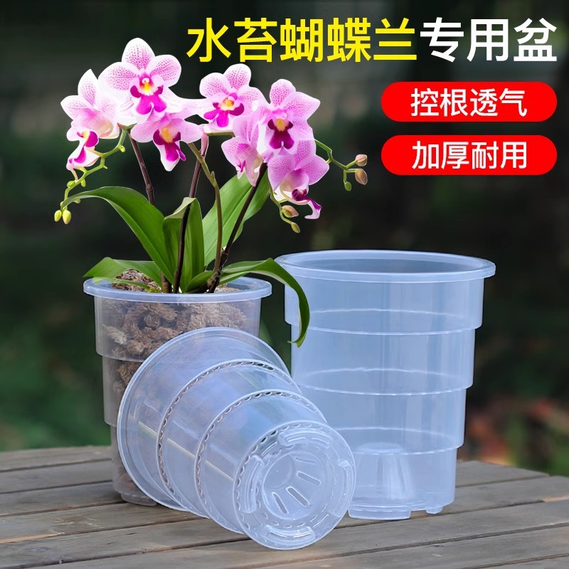 新款透明蝴蝶兰专用花盆兰花水苔控根盆塑料镂空防烂大号家用阳台