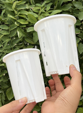 白色空气柱兰花专用控根盆透气透明观根盆镂空热绿植蔓绿绒盆家用