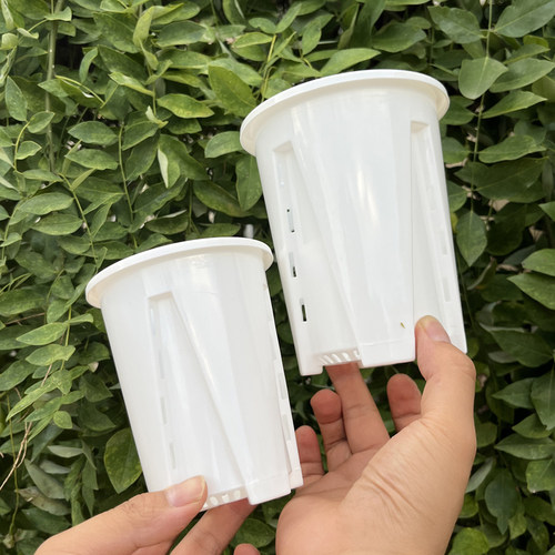 白色空气柱兰花专用控根盆透气透明观根盆镂空热绿植蔓绿绒盆家用