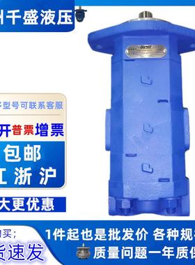 天津泊姆克双联齿轮泵P124B085NSZA20-54 BPZA10-1油泵1121002978