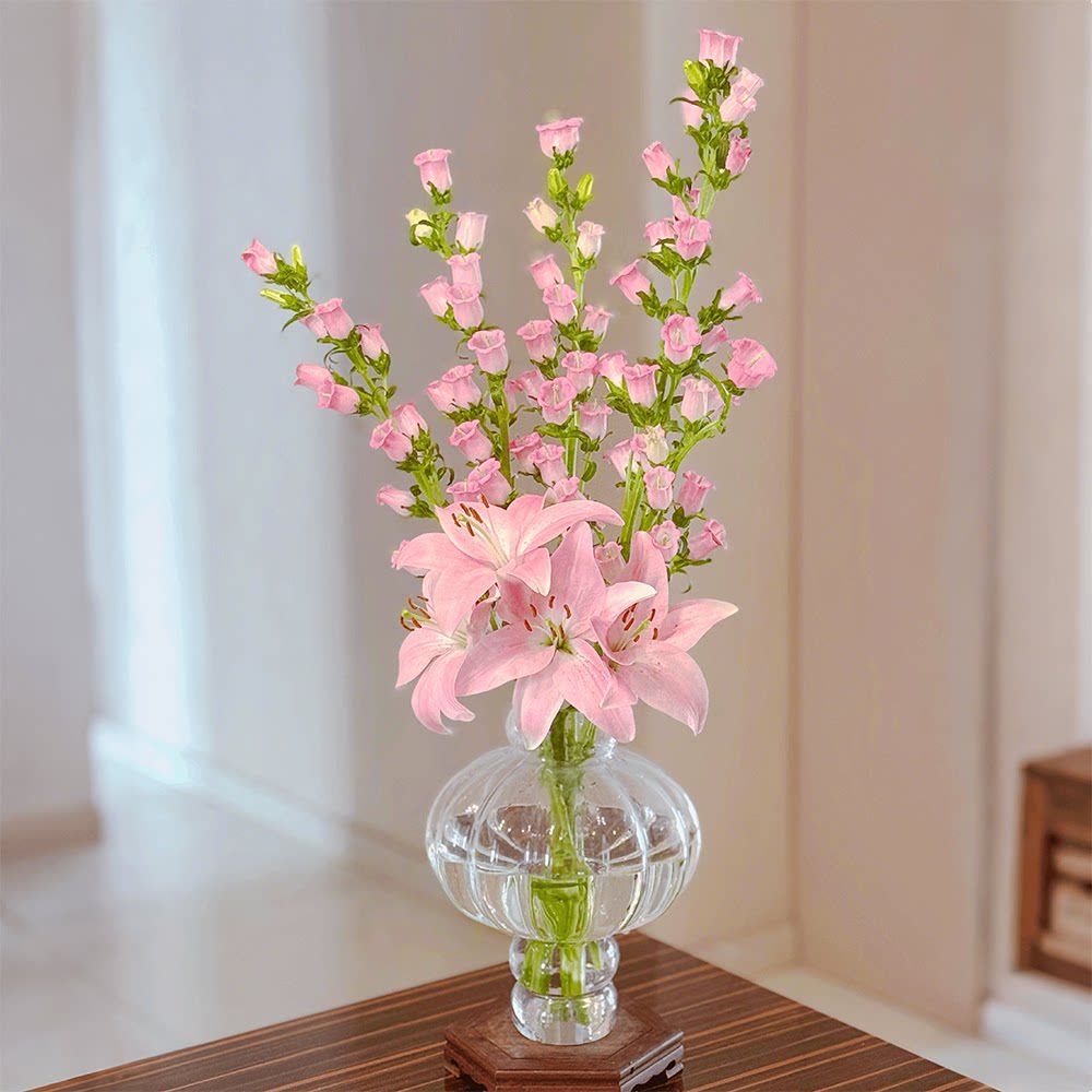 情绪稳定透明玻璃花瓶水培插花装饰摆件客厅餐桌文艺简约创意花器