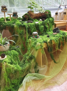 幼儿园春天环创展台材料自然角装饰植物造景场景布置绿色纱幔苔藓