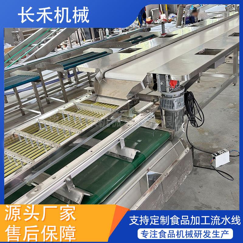 全自动选果机樱桃槟榔大枣筛选机柠檬砂糖橘南果梨分选机