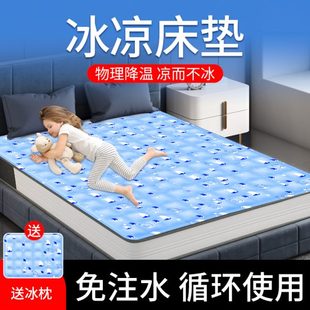 学生 双人凉席冰坐垫宿舍家用单凝胶冰垫床垫降温神器子水床垫夏季