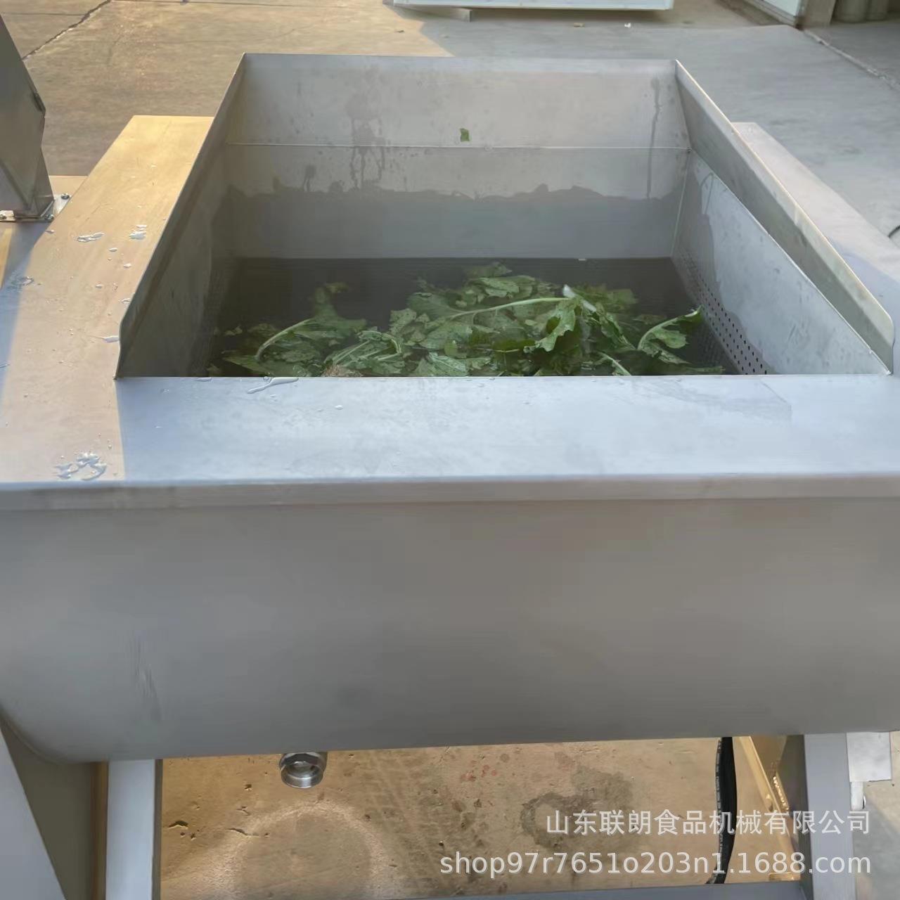 商用万能清洗机多功能果蔬洗菜机菠菜芹菜去泥沙自动翻斗清洗设备