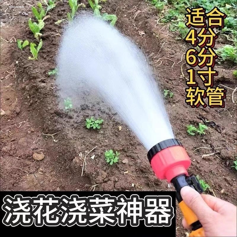 6分水管接头配件浇菜花洒喷头育苗浇花浇菜洒水1000目洒水