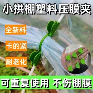 压膜夹小拱棚塑料膜卡扣防风塑料夹玻璃纤维杆压膜卡大鹏二膜夹子