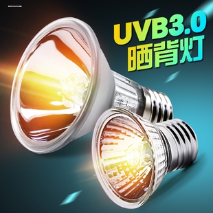爬虫箱乌龟缸灯加温灯太阳灯龟箱水龟加热灯晒背灯25W 75W