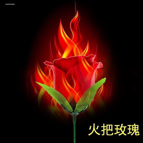 火焰变玫瑰火苗变玫瑰蜡烛变玫瑰魔术玫瑰花魔术道具火变点火着火