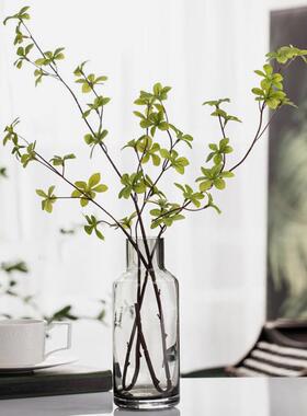MOLA·Simple·花瓶家用客厅简约轻奢玻璃台面插花装饰花器丨简意