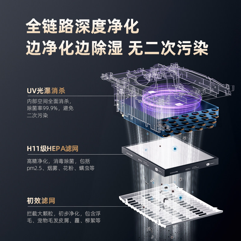 伊岛除湿机家用客厅卧室空气净化抽湿机抽湿器轻音多功能M30 Pro
