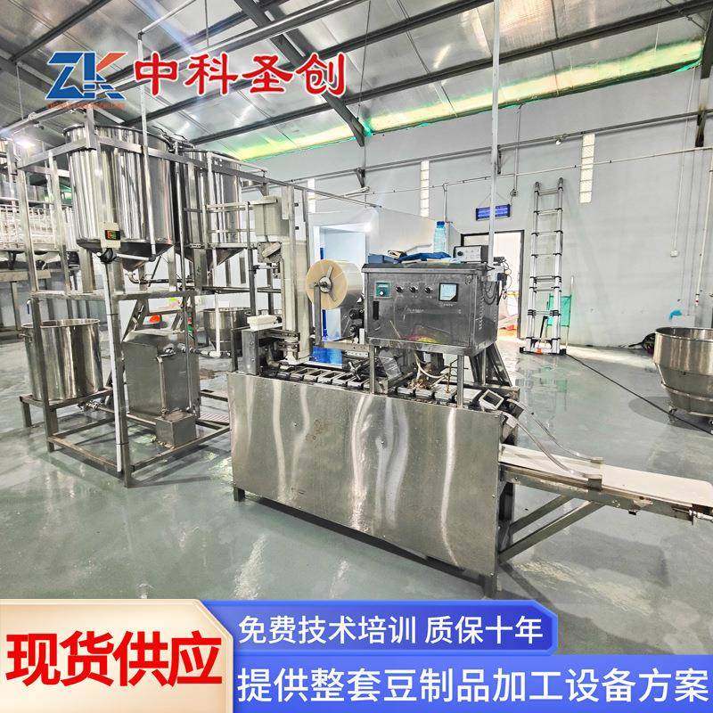 全自动嫩豆腐机多功能大型老豆腐包装机中科内脂豆腐机