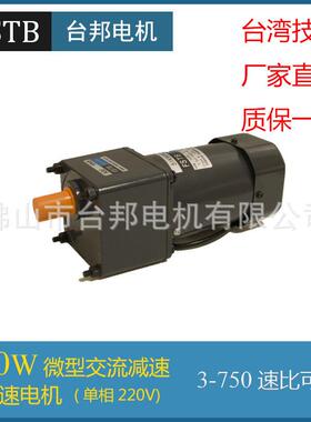 厂家直销FSTB佛山台邦交流220V90W调速电机马达5I90RGU-CF/5GU