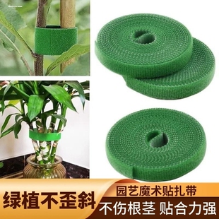 绿植捆绑扎带绿色魔术贴粘扣带植物捆绑不伤植物支撑固定窗帘绑带