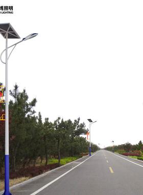 厂家中国结太阳能路灯路灯6m8m新农村市政工程LED户外庭院灯