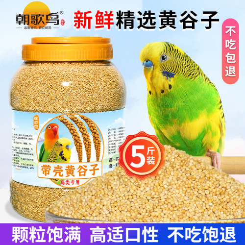 新黄谷子鸟粮中小型鹦鹉饲料鸟粮带壳小米虎皮玄凤牡丹专用食物