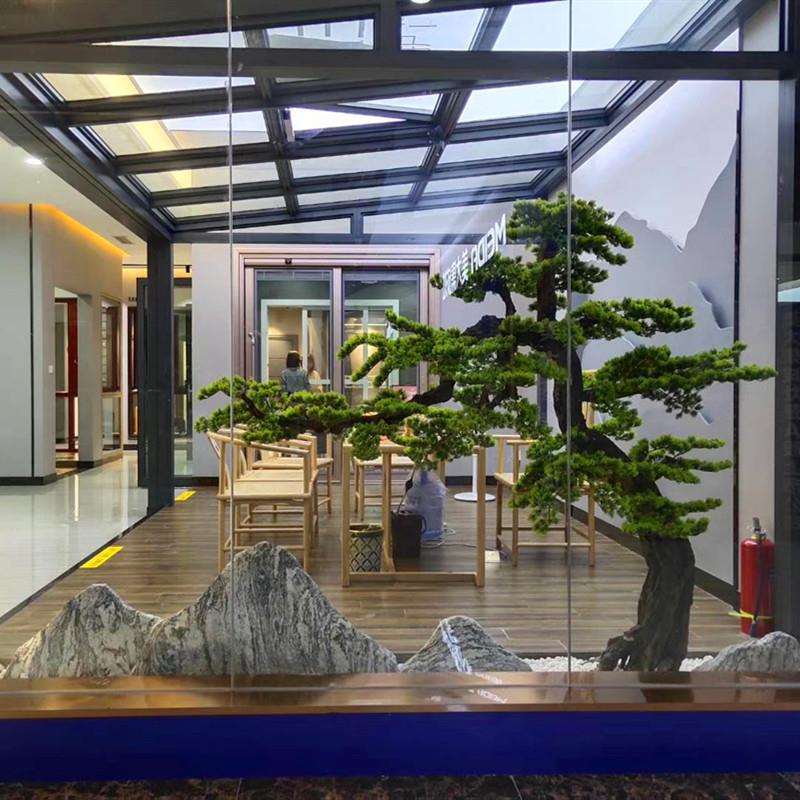 迎客松假树美人松盆景罗汉松景观摆件新中式玄关造景松树