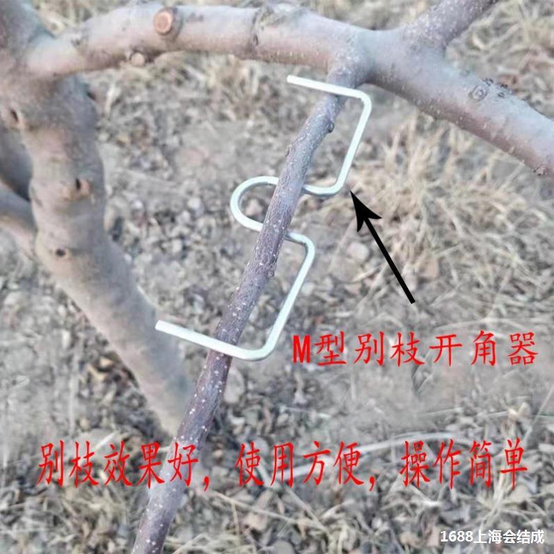 拉树神器别枝拉枝器果树SM固定器开角器压弯神器定型器枝条柑橘