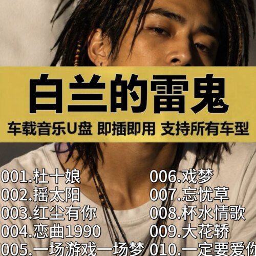 【车载U盘-白兰的雷鬼版全歌曲】