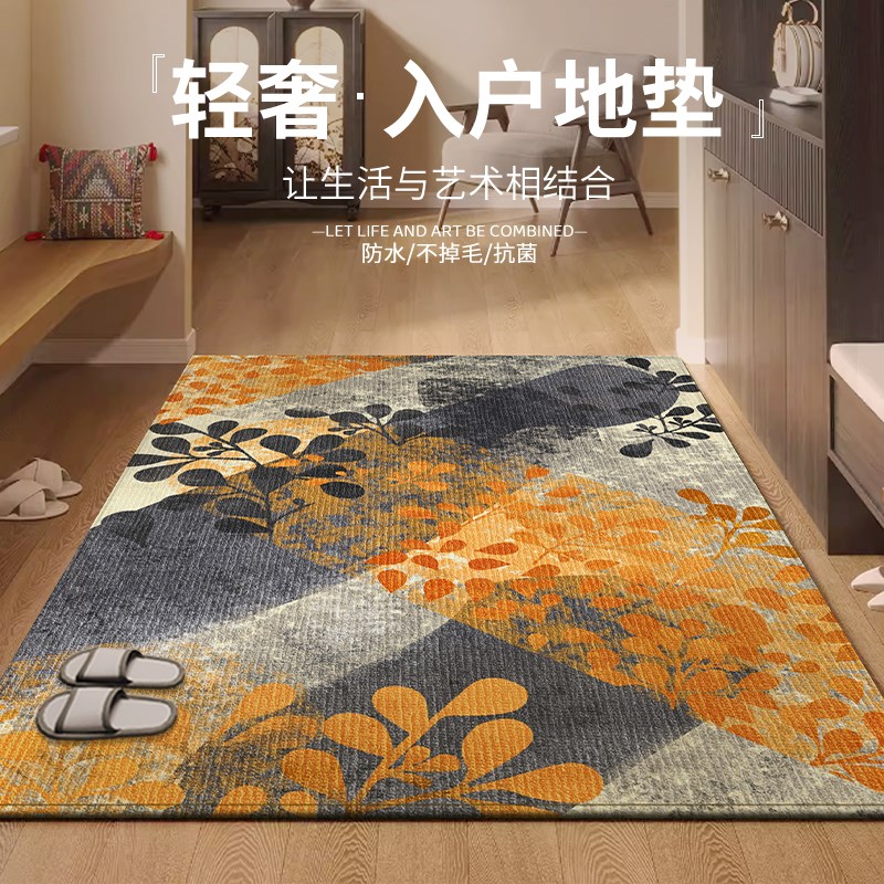 入户门地垫门垫进门玄关轻奢地毯防滑耐脏新款高级感家用高端脚垫