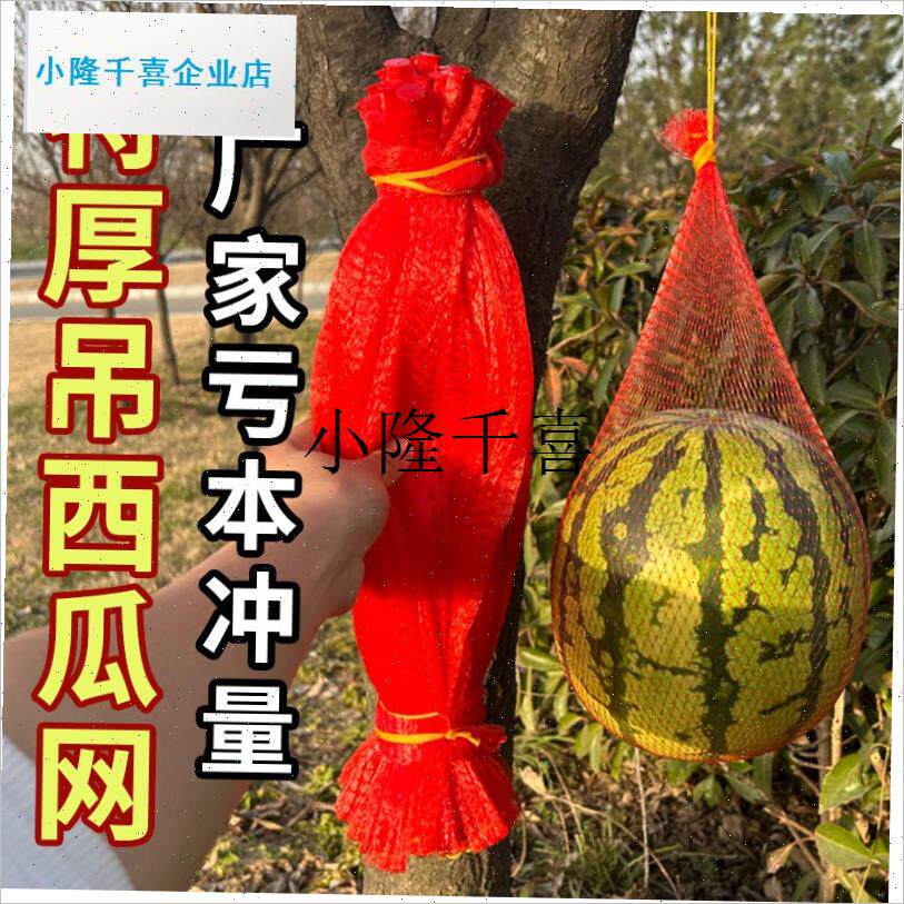 吊西瓜专c用套袋甜瓜哈密瓜束口挂绳网兜纱袋防虫塑料袋子大棚瓜l