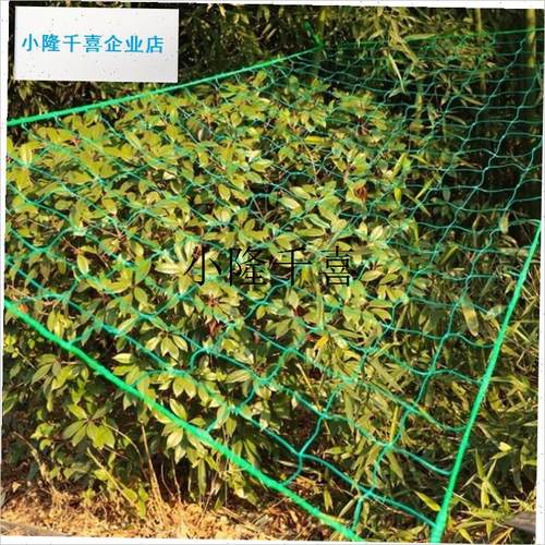 葡萄架爬藤架包塑钢管庭院园艺造型花架植物爬藤V支撑杆豆角太阳l