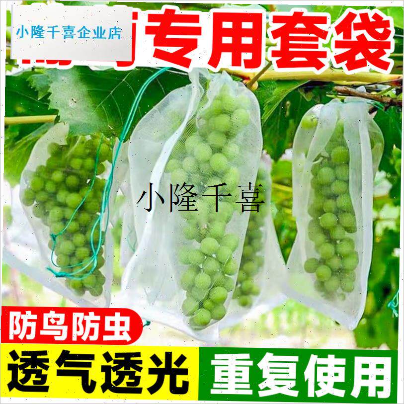 葡萄套袋a专用袋子防虫防鸟神器纱网袋水果草莓阳光玫瑰保护袋套l