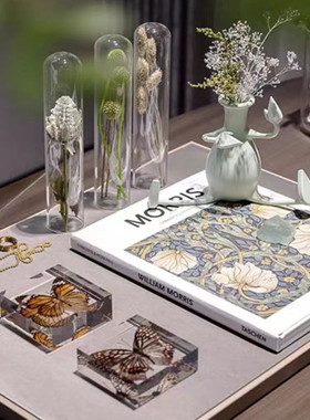 现代样板间工作室桌面软装试管干花标本蝴蝶摆件书房托盘套装饰品