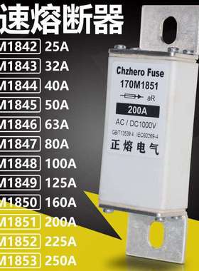 170M1853 170M1852 170M1851 170M1850 170M1849 170M1848熔断器