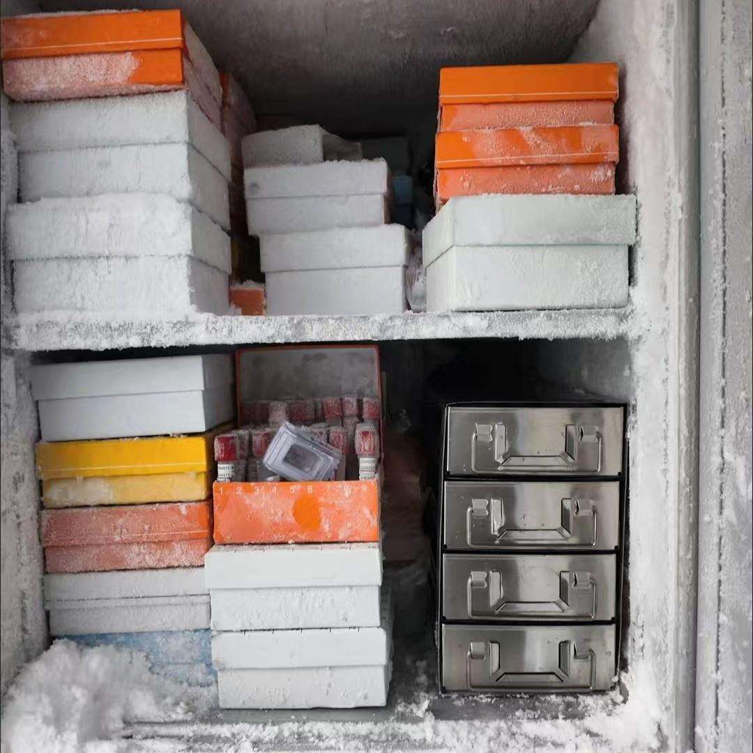 超低温不锈钢冰箱架冷冻盒架 抽屉式/手提式 平放液氮冻存架-86度