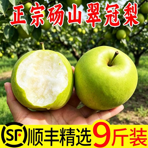 正宗砀山梨当季现摘整箱