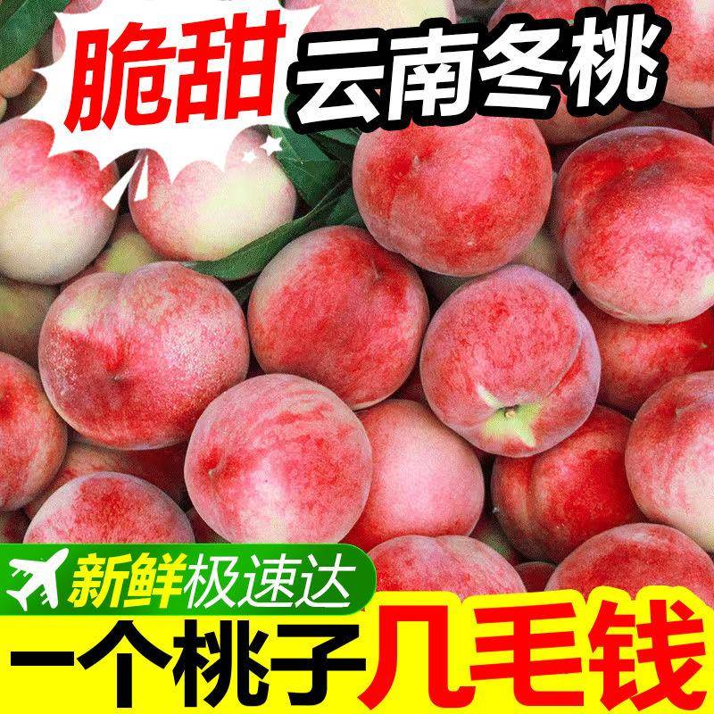 云南大理冬桃雪蜜脆甜毛桃