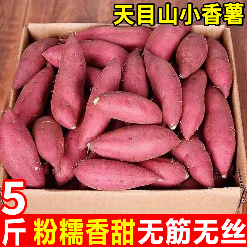 临安天目山小香薯正宗板栗薯红薯香甜新鲜地瓜农家自种迷你小番薯