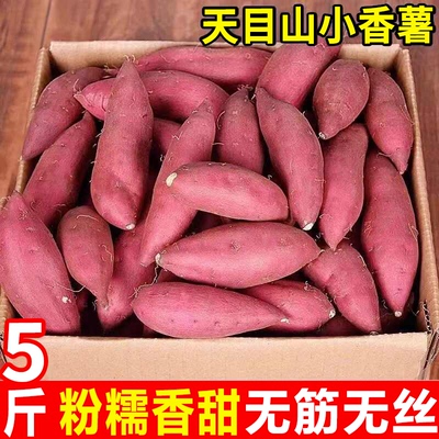 临安天目山板栗薯香甜新鲜