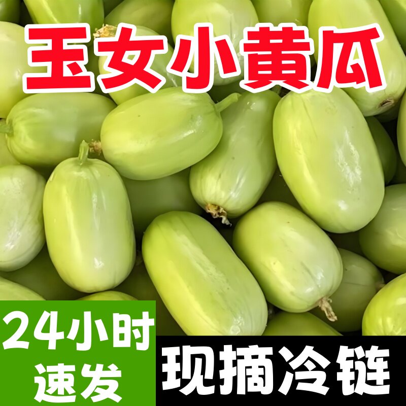 黄瓜新鲜玉女黄瓜水果小黄瓜拇指黄瓜生吃青瓜东北旱白玉蔬菜