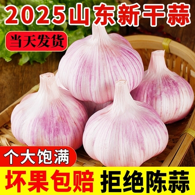 农家新蒜头250g起紫白皮大蒜