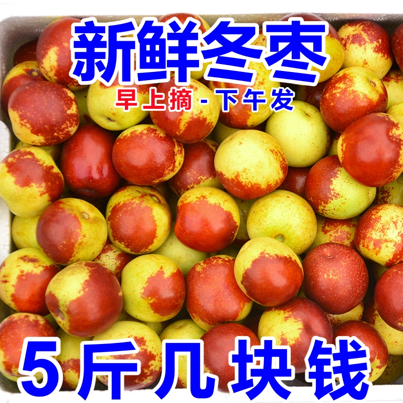 山东沾化新鲜水果冬枣5斤