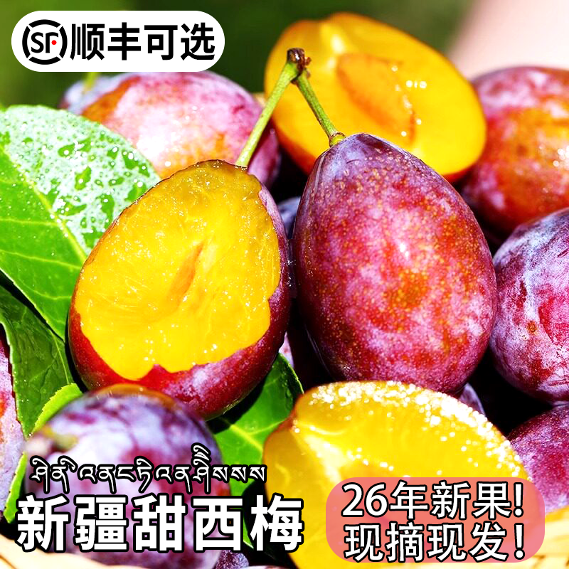 新疆西梅新鲜5斤装脆甜李子水果