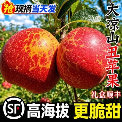 云南昭通丑苹果当季现摘盐源苹果新鲜水果大凉山红富士苹果整箱