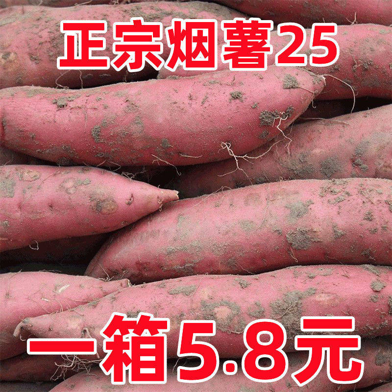 正宗山东烟薯25号红薯9斤糖心蜜薯新鲜农家自种甜甜番薯山芋包邮