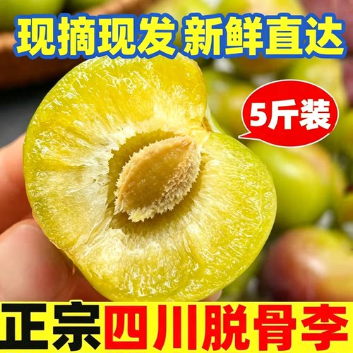 青脆五月脆脱骨李子正宗