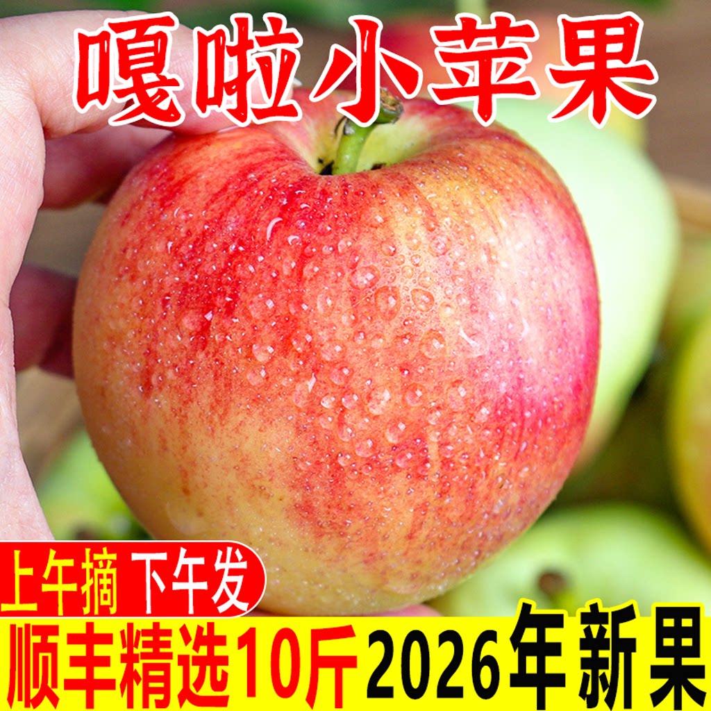 正宗陕西红富士苹果嘎啦苹果水果当季整箱早熟红富士现摘现发10斤