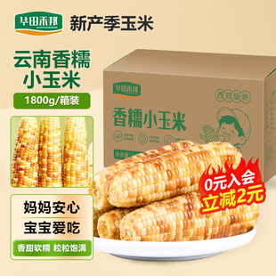 华田禾邦云南西双版纳香糯小玉米箱装花糯玉米800克真空包装微甜