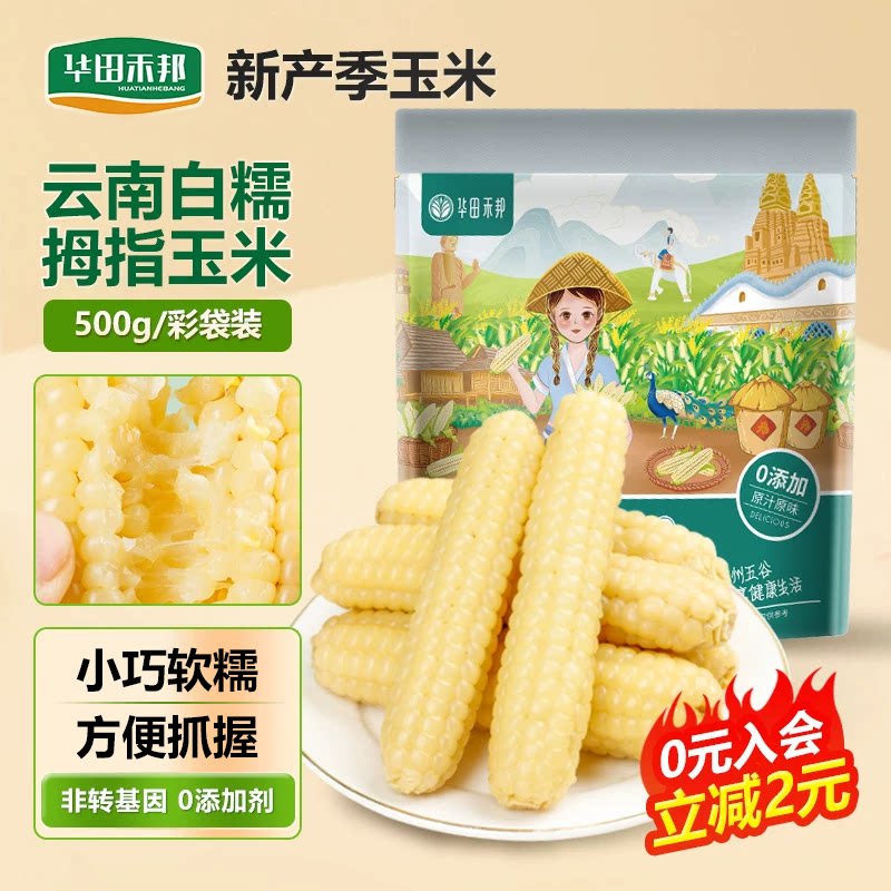华田禾邦云南西双版纳拇指玉米儿童早餐旗舰店新鲜糯小手指玉米棒