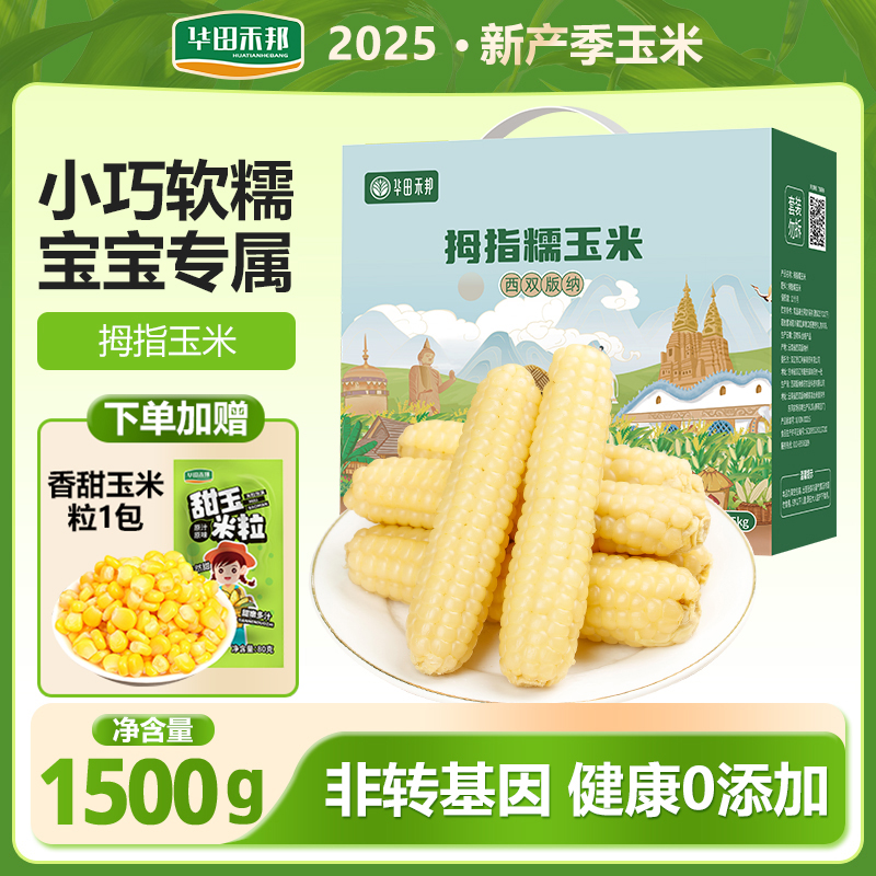 华田禾邦云南儿童拇指玉米