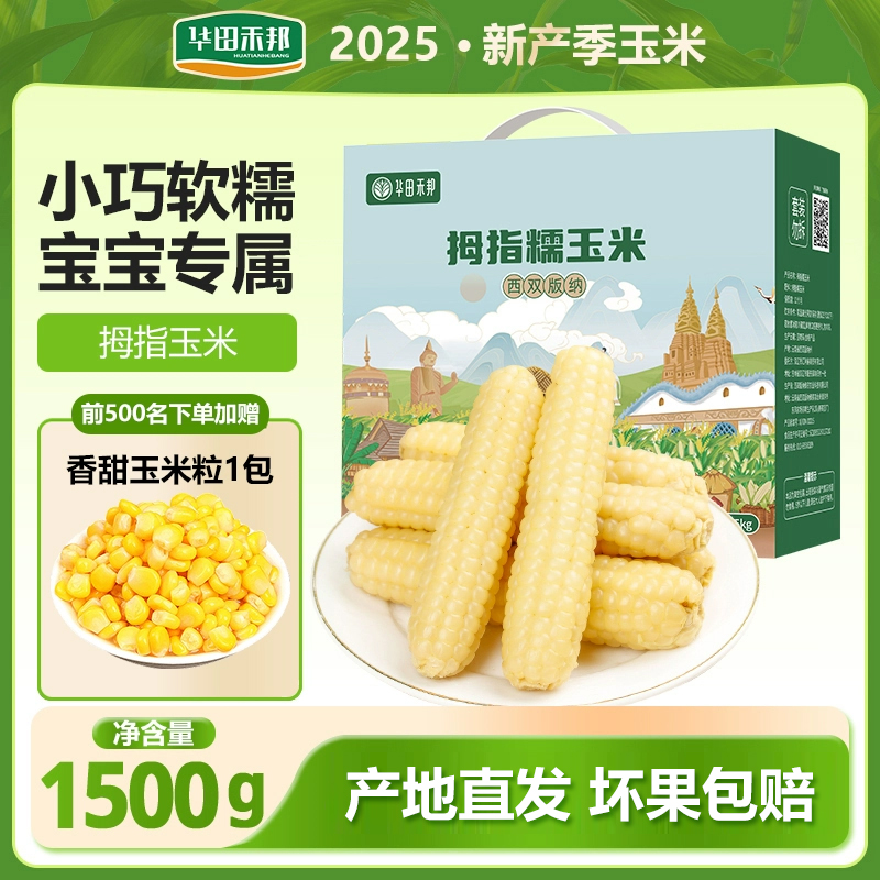 华田禾邦云南儿童拇指玉米