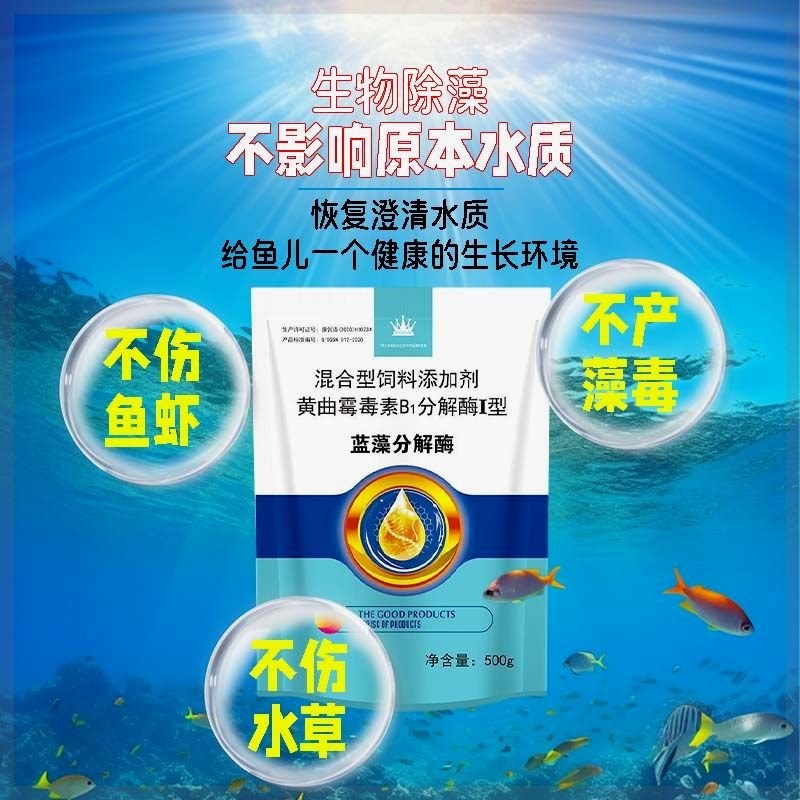 【鱼塘去除绿藻】蓝n藻克星蓝藻净鱼塘水产养殖不伤鱼虾蟹净化水
