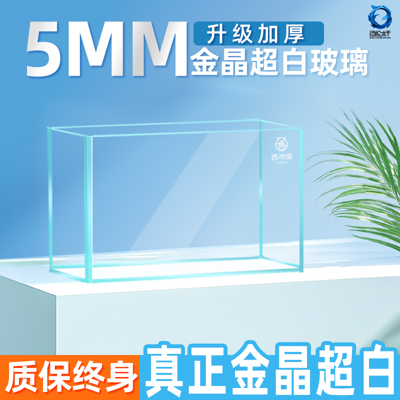 金晶超白鱼缸桌面客厅生态斗金鱼乌龟缸造景小型水草养鱼玻璃裸缸