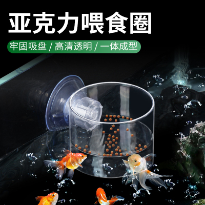 鱼缸漂浮喂食圈金波子鱼苗丰年虾亚克力喂鱼器吸盘投喂鱼粮防飘散